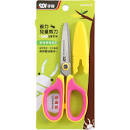 i-Sharp kids