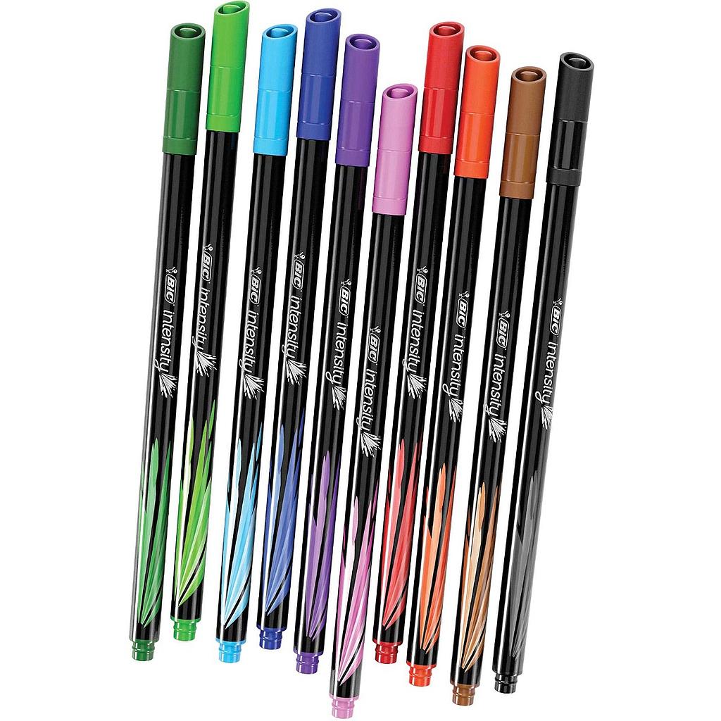 BIC INTENSITY